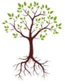 Gezeichneter Baum mit grünen Blättern und Wurzelwerk