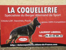 de la Coquellerie 59