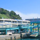桜島港