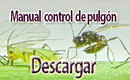 manual del pulgón en PDF