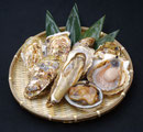 hokuto-fishery ページ！