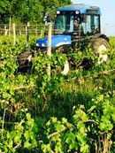 Tertres du Plantou, EARL certifiée agriculture biologique