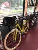 Our "easy" & very fun e-bikes in the train from Brixen to Innichen