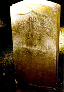 (click to enlarge)