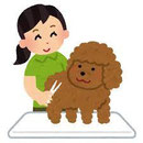 犬の保育園Ｂａｂｙ・園長・増田和彦