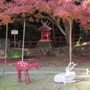 大原野神社での展示