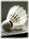 Badminton