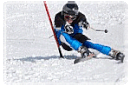 Skisport