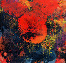 Funkenflug und Flächenbrand_80x80 cm