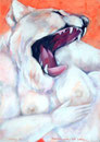 _2007Die Katze _ 100x70 cm_2007
