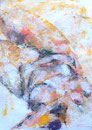 Akt _ liegend_70x100 cm