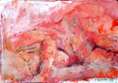 Akt _ liegend_70x100 cm