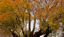 Seilsicherung. Foto 02.11.2008.