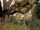 Stahlkonstruktion zur Abstützung. Foto 02.11.2008.