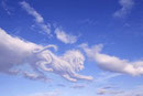 Lion en nuages