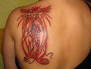 elfe