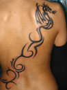 tribaldrache