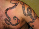 krake