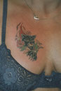 panter