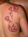 ranke