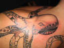 krake
