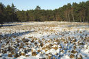 Winterliche Impression 
