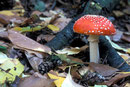 Leuchtende Farben nach einem kurzen Regenschauer