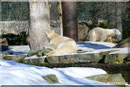 GIOVANNA und KNUT