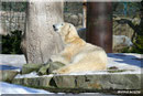 GIOVANNA und KNUT