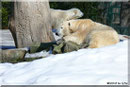 GIOVANNA und KNUT
