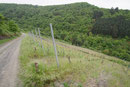 Auf dem Weg zur Ruine