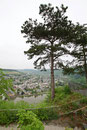 Ruine Grevenburg, Traben-Trarbach