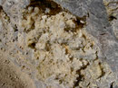 Un geode ricoperto di rosette di quarzo