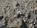 Sembra di essere in un deserto americano