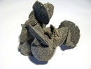 Gesso,rosa del deserto (Perù)