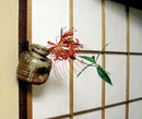 彼岸花　信楽掛け花入　("天上の花")とも言う一般でわ不吉な花である。「曼珠沙華（まんじゅしゃげ）」は、サンスクリット語で天界に咲く花という意味。おめでたい事が起こる兆しに赤い花が天から降ってくる、という仏教の経典から来ています。