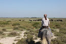 Ausritt Camargue - © France Fascination