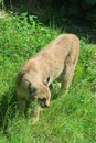 Zoo(m) Gelsenkirchen