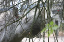 Zoo Krefeld