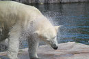 Zoo(m) Gelsenkirchen