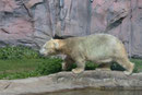 Zoo(m) Gelsenkirchen