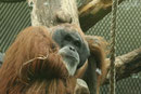 Zoo Frankfurt