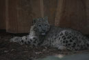 Zoo Krefeld