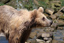 Zoo(m) Gelsenkirchen
