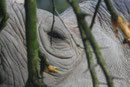 Zoo Krefeld