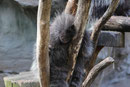 Zoo(m) Gelsenkirchen