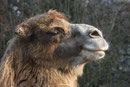 Zoo Krefeld