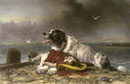Saved - In 1856 