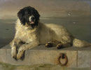 A Distinguished Member of the Humane Society - Dated 1831