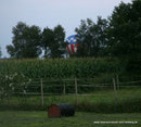 Landung ca. 200 m hinter unserer Koppel